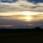 IMGP1042a.jpg