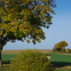 Somme Holiday - Sunday - IMGP9741.jpg