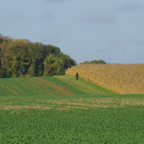 Somme Holiday - Sunday - IMGP9743.jpg