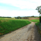 IMGP3277 - Field behind Gite.jpg