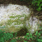 IMGP3459 - Collapsed dug-out near Gite.jpg