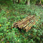 IMGP3460 - Trench Railway track near Gite.jpg