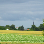 IMGP0845.jpg
