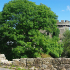 Whittington Castle - IMGP5345.jpg